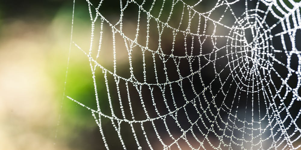 Khám Phá nổ hũ vinwin - Nơi Gặp Gỡ Tất Cả Những Điều Thú Vị